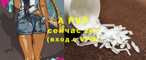 стаф Абинск