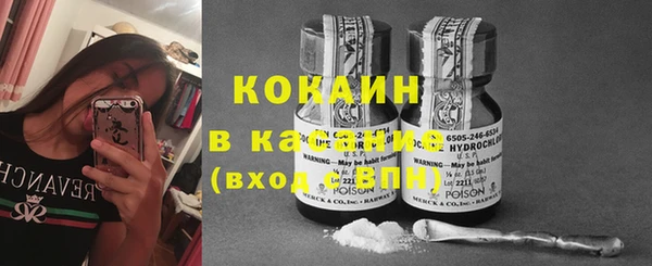 стаф Абинск