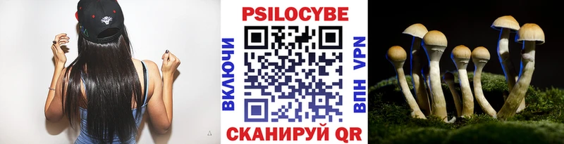 Галлюциногенные грибы MAGIC MUSHROOMS  гидра онион  Саранск 